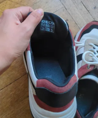 Scarpe Geox beige, nere, rosse e bianche