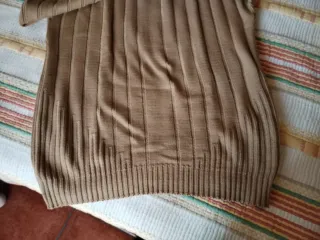 Camisola Lion of Porches bege