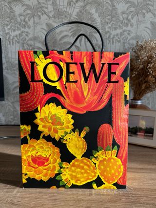 Gafas de sol Loewe multicolor