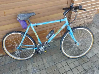 Bicicleta de montaña azul