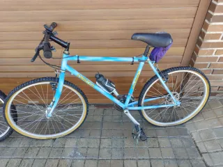 Bicicleta de montaña azul