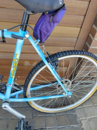 Bicicleta de montaña azul