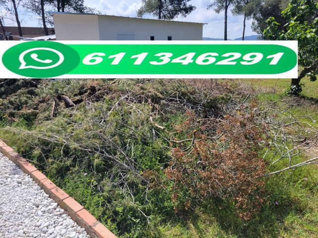 Retirada restos jardín