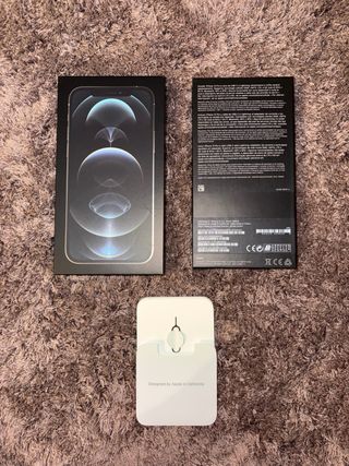 iPhone 12 Pro Argento 256 GB