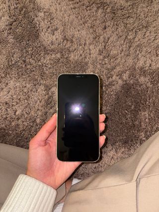 iPhone 12 Pro Argento 256 GB