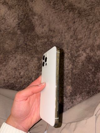 iPhone 12 Pro Argento 256 GB