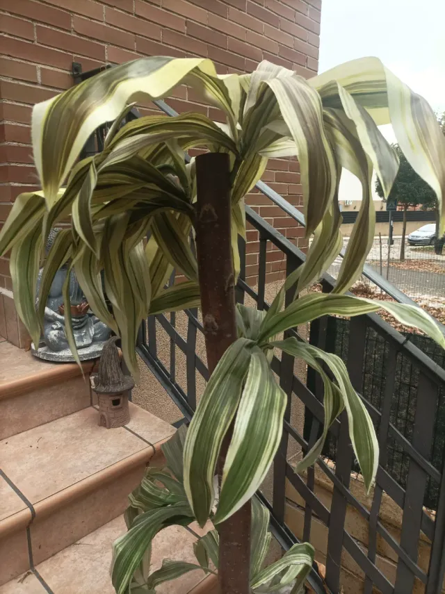 Planta artificial alta decorativa