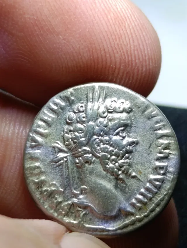 Moneda Romana Emperador Septimio Severo