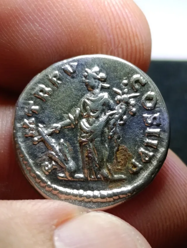 Moneda Romana Emperador Septimio Severo
