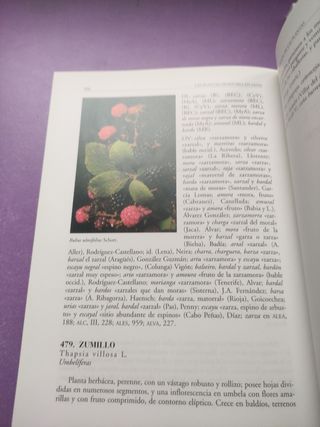 Lote 2 Libros: Colesterol y plantas silvestres