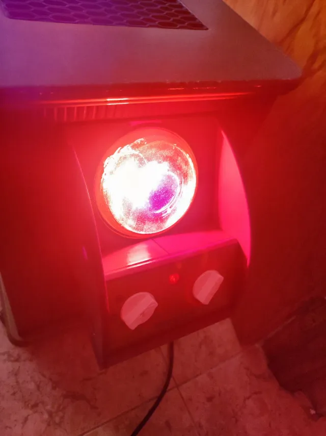 Estufa decorativa con escudo