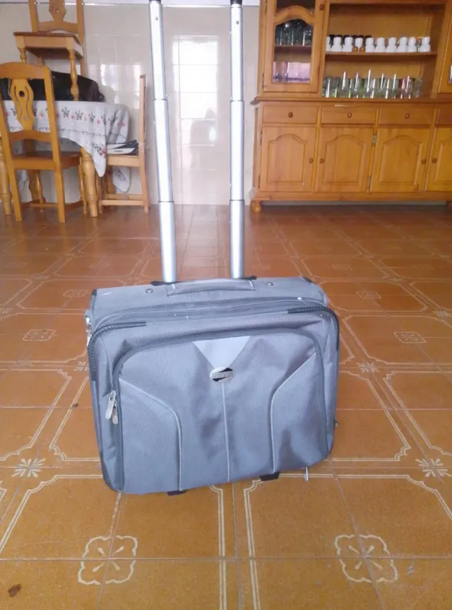 Maleta de viaje gris con ruedas