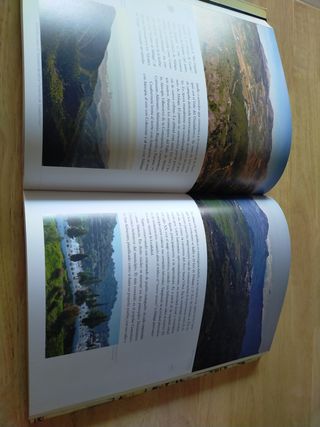 Revista Péndulo XXIV