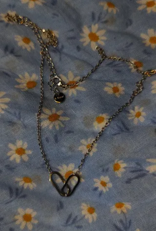 Colgante Corazón Acero +Regalo osito llavero