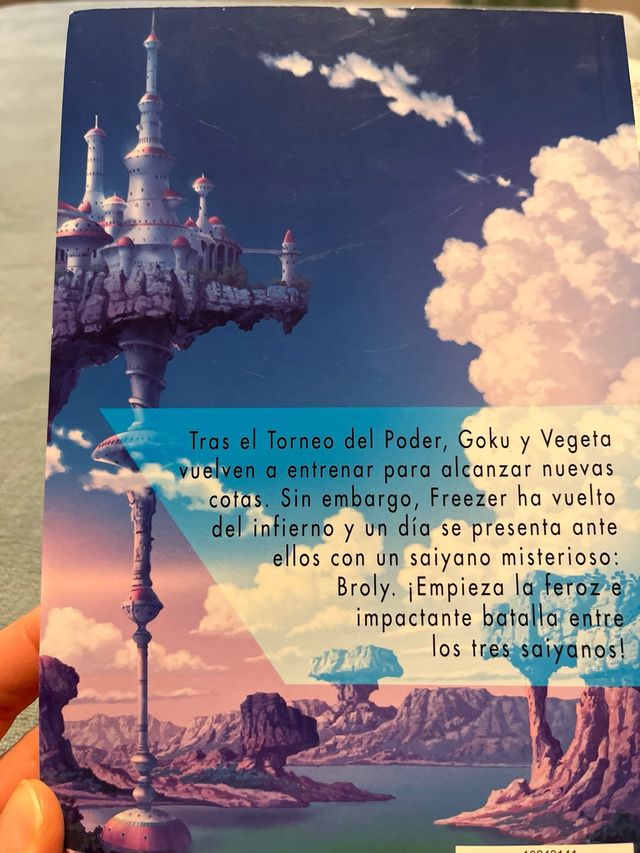 Dragon Ball Broly (novela)