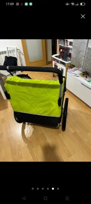 Remolque para bicicleta infantil 2 plazas