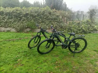 Bicicletas de montaña verdes