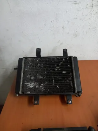 Radiador Sym Joymax 125 Carburación