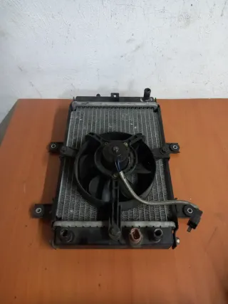 Radiador Sym Joymax 125 Carburación