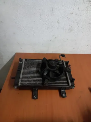 Radiador Sym Joymax 125 Carburación