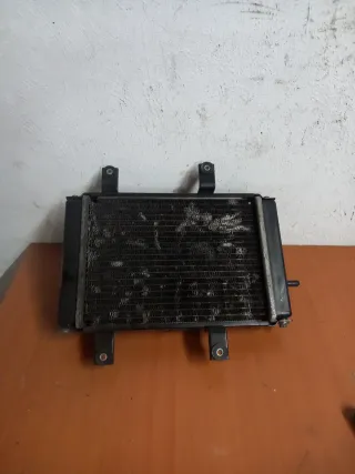 Radiador Sym Joymax 125 Carburación