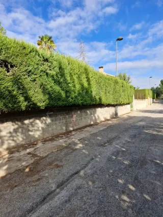 Jardinero Profesional