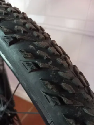 Bicicleta de Montaña
