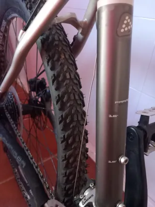 Bicicleta de Montaña