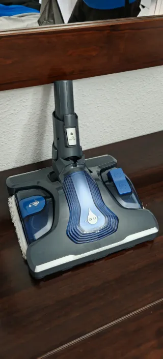 Piezas Rowenta XForce Flex