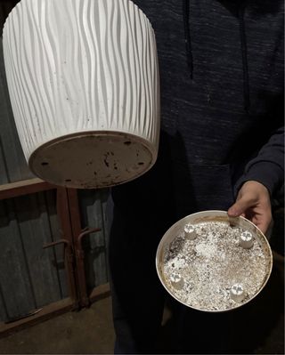 Macetas de plástico con plato extraíble