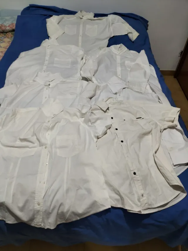 7 camicie bianche donna per divisa da lavoro