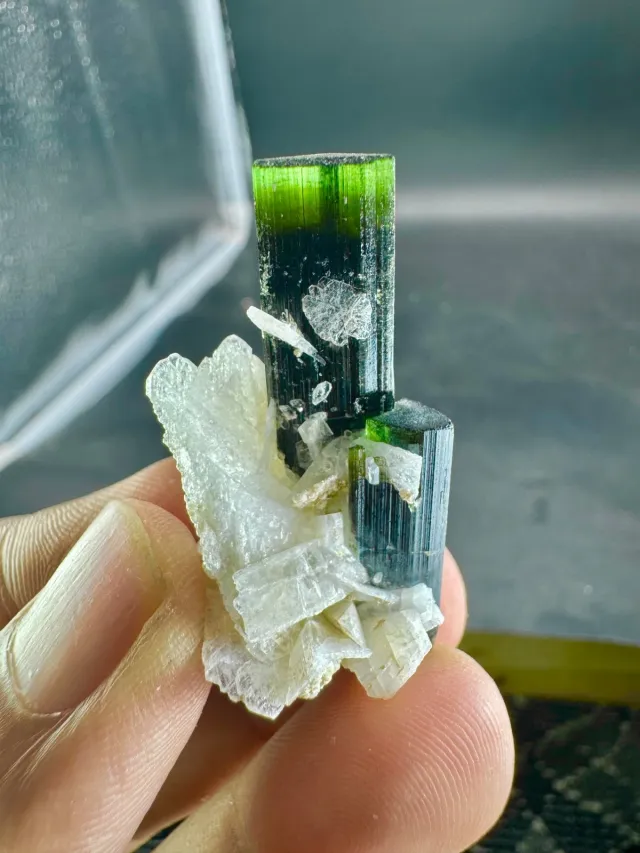 Cristallo Tormalina Verde con Albite 62 CTS