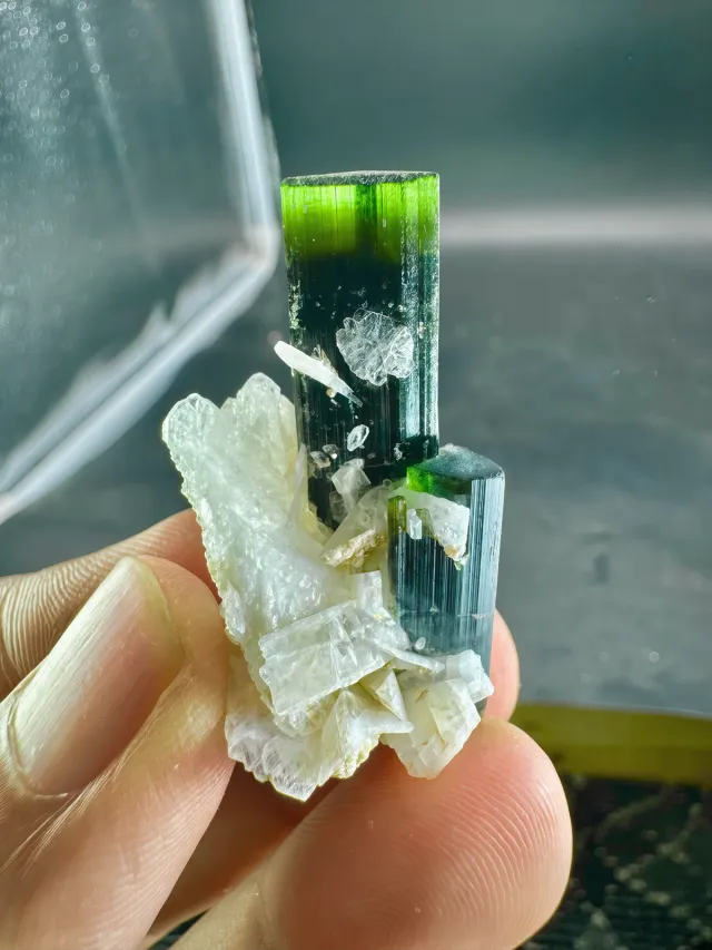 Cristallo Tormalina Verde con Albite 62 CTS