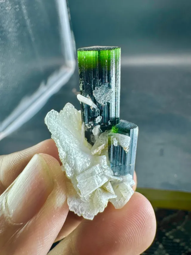 Cristallo Tormalina Verde con Albite 62 CTS