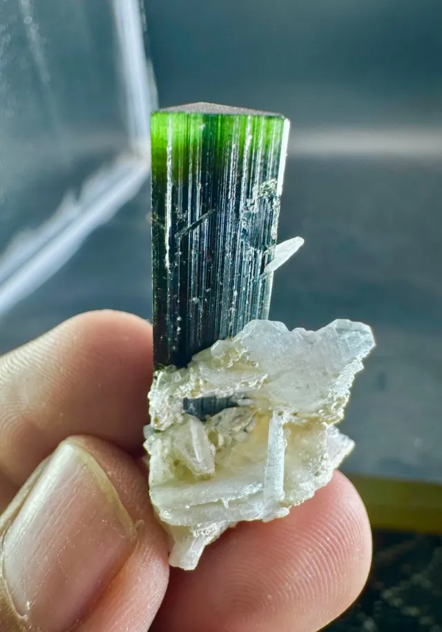 Cristallo Tormalina Verde con Albite 62 CTS