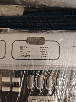 Teclado Musical L&P para Principiantes