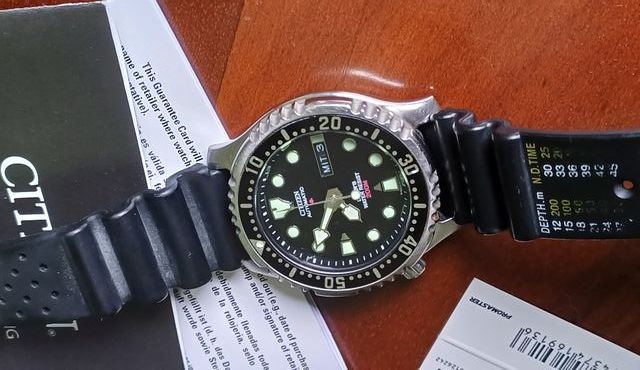 Citizen Promaster NY0040 Automático