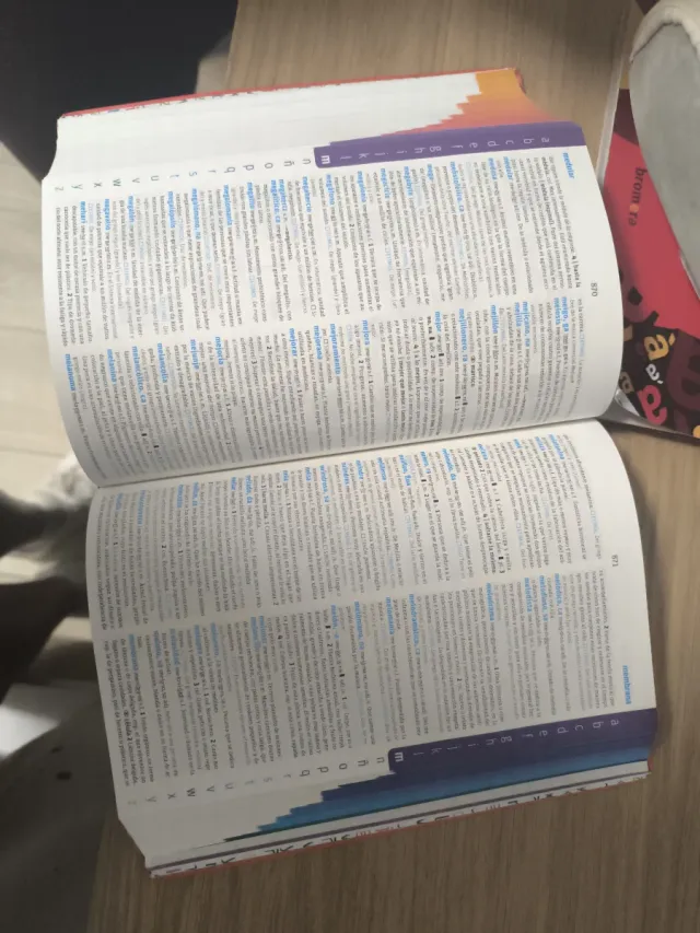 Diccionario avanzado primaria