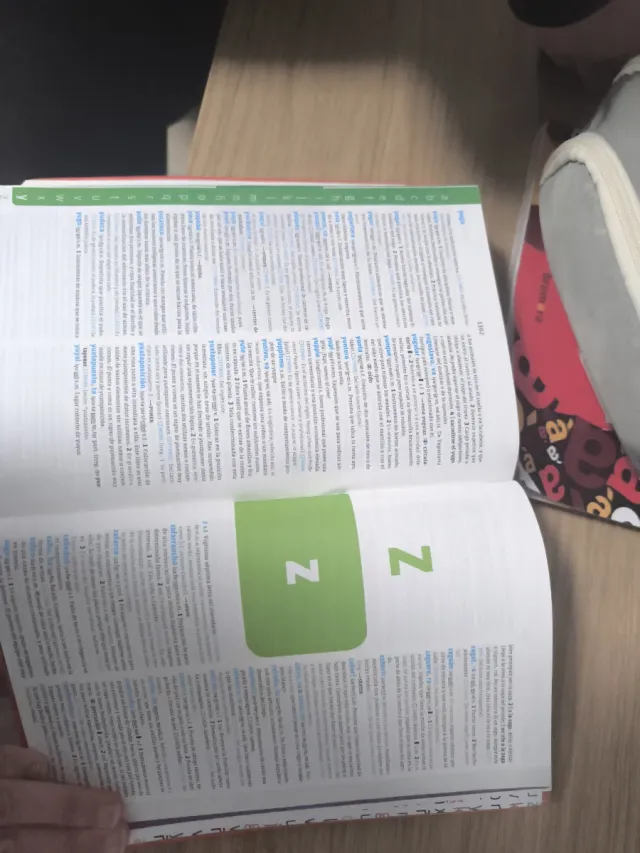 Diccionario avanzado primaria