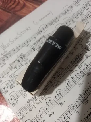 Bocchino Meazzi Sax Alto Vintage N.2