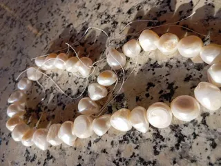 Hilo de Perlas Naturales de rio