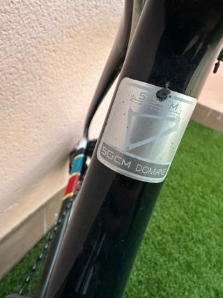 Bicicleta Trek Domane Talla 50