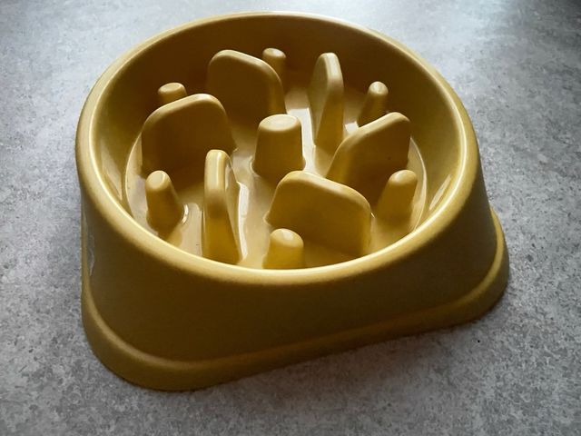 Comedero Antivoracidad Perro ansiedad