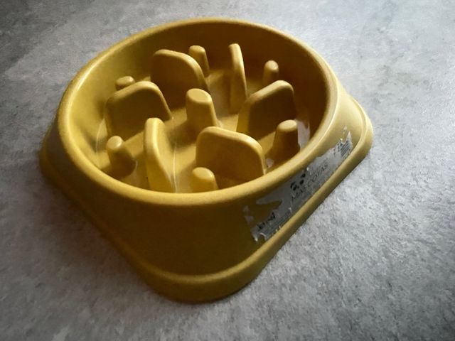 Comedero Antivoracidad Perro ansiedad