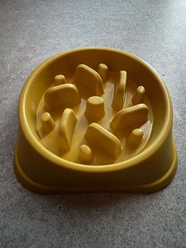 Comedero Antivoracidad Perro ansiedad