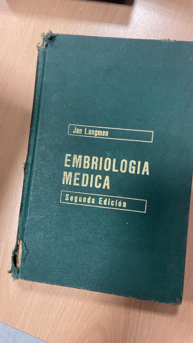 embriología médica