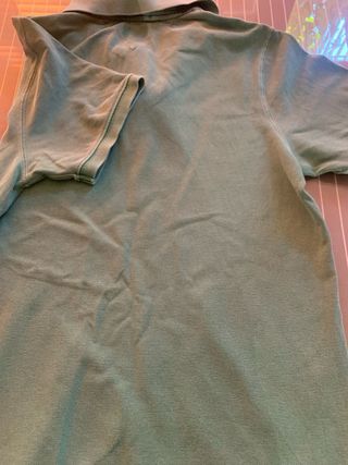 Polo Tommy Hilfiger Verde/Teal