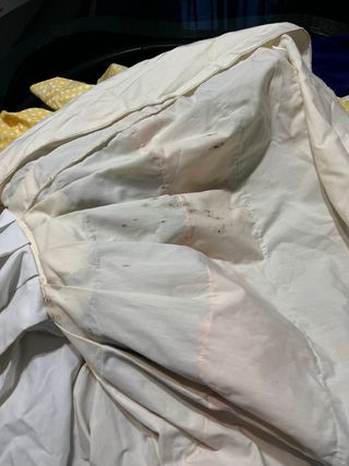 Traje Flamenca Perforado Diseño Exclusivo