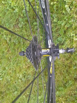 Llanta trasera Mavic Crossland + llanta alexrims