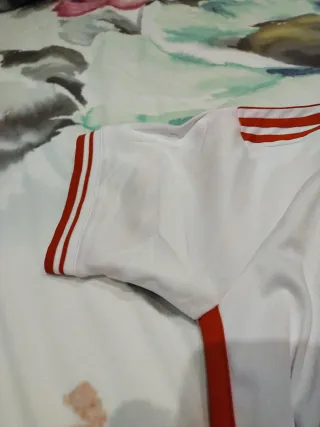 Camiseta Ajax 2023-2024  Adidas